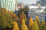 院内からの風景・紅葉